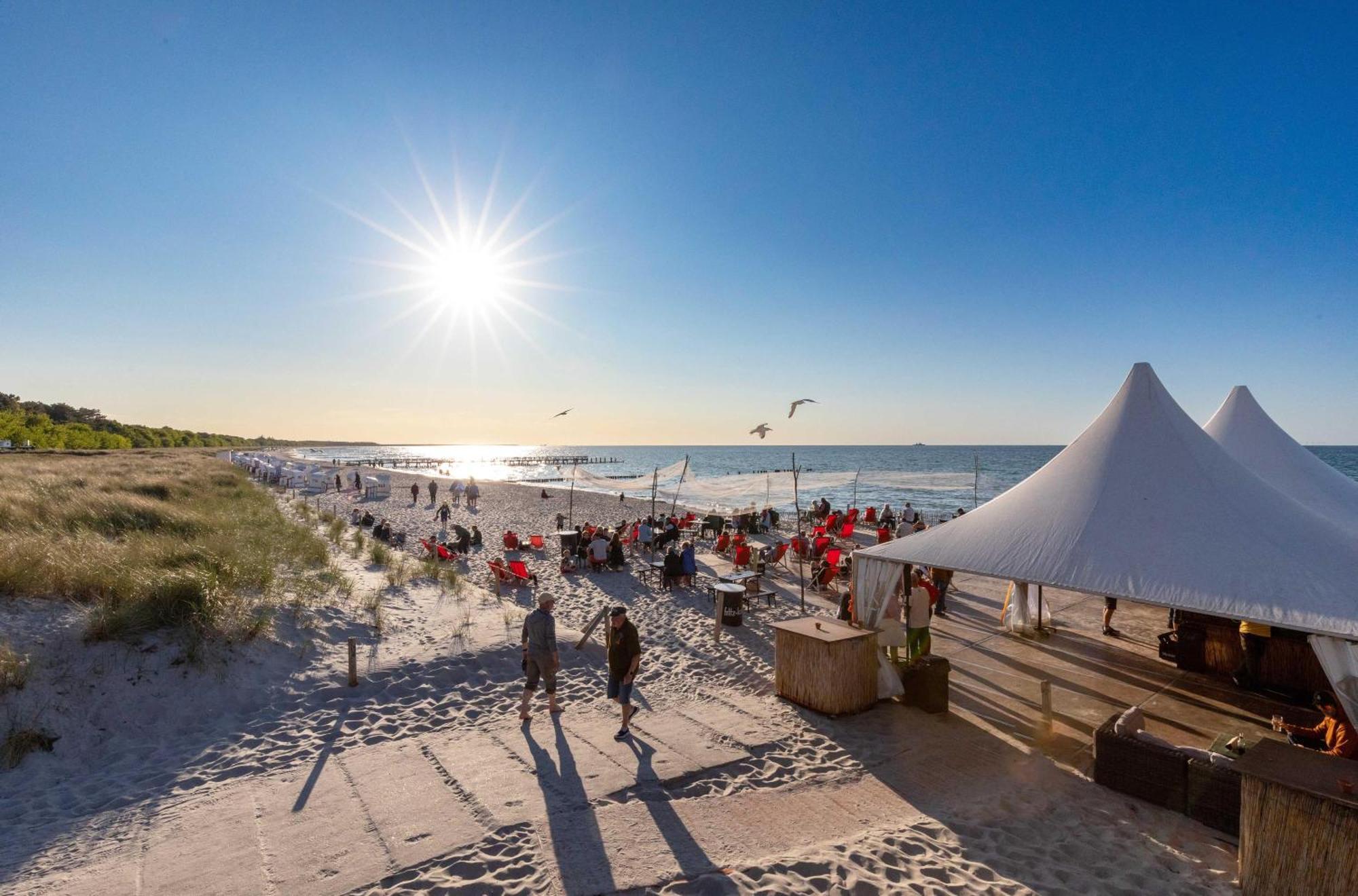 Krosse Krabbe An Der Seebruecke Zingst Eksteriør billede